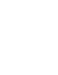 feature-area-object